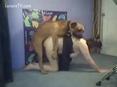 The girl takes off her costume to have a dog fuck.